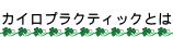 �J�C���v���N�e�B�b�N�Ƃ�